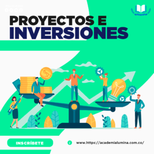 PROYECTOS E INVERSIONES
